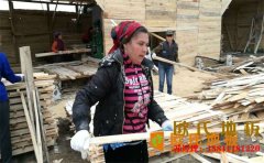 西安楓樺木籃球場地板廠商