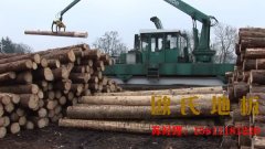 室內(nèi)籃球場地板施工技術(shù)