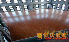 硬木企口籃球場(chǎng)木地板**品牌