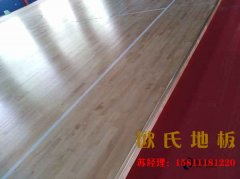 羽毛球地板運(yùn)動特性滿足任何類型運(yùn)動員