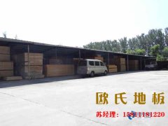 運動木地板舒適的美感是如何產(chǎn)生的？