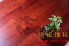 我們真正了解羽毛球運動木地板嗎，知道它的優勢在哪嗎