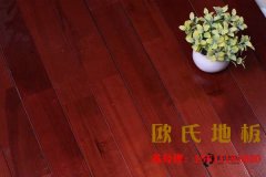 怎樣選購籃球木地板？