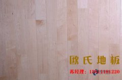 在鋪裝籃球木地板時減震墊的重要性