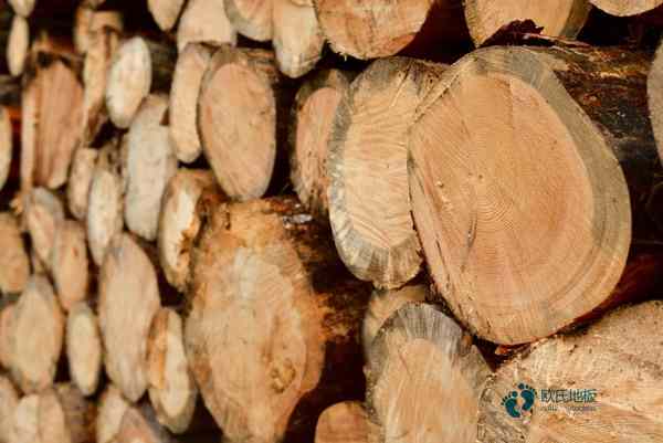 籃球場木地板價格是多少錢?